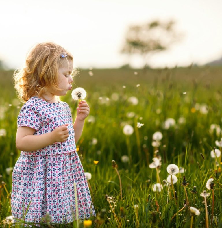 Mädchen Pusteblume Ein Mädchen in einem gepunkteten Kleid steht in einem Feld mit Löwenzahn.